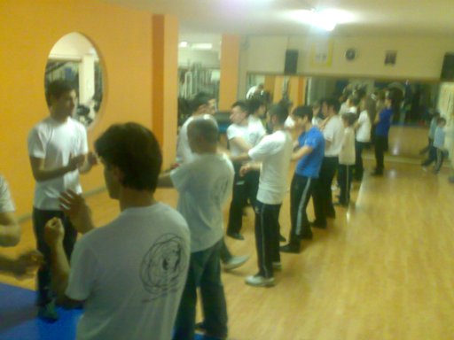 seminario di wing tjun terzo grado con master mezzone